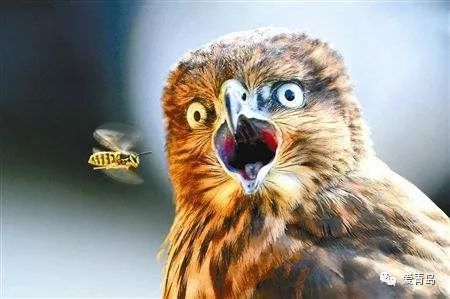 海淘买到的东西是正品吗,海淘上的东西是不是真品