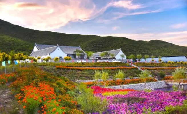 巴林左旗城市全景,巴林左旗市