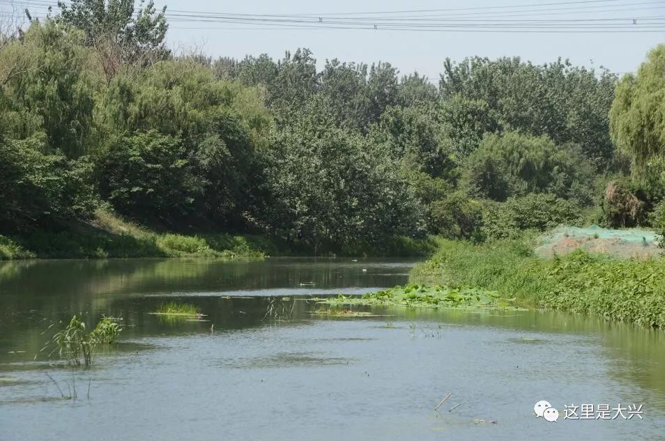 大兴区专项整治,2019大兴区重点工程