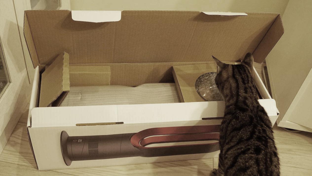 戴森暖风机值得入手的冬季神器,戴森暖风扇出新款吗