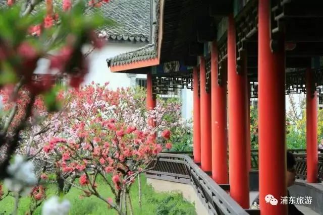 「收藏」不能错过的小美好！上海12个月行走指南来啦