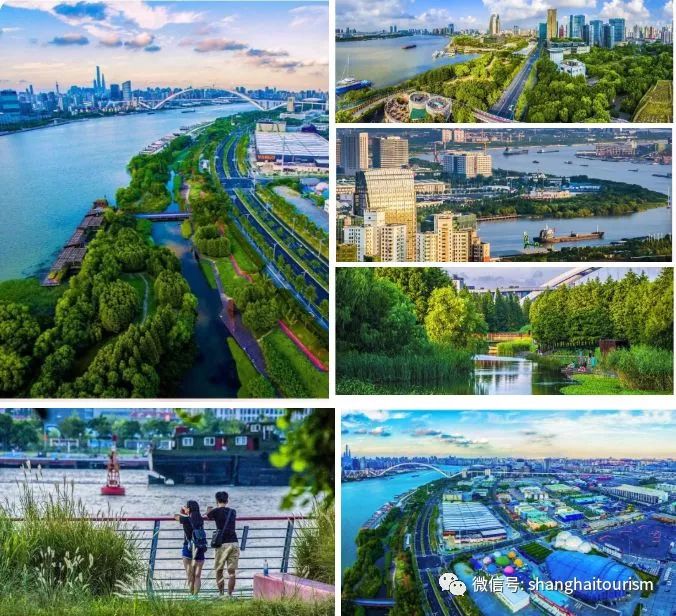 「收藏」不能错过的小美好！上海12个月行走指南来啦