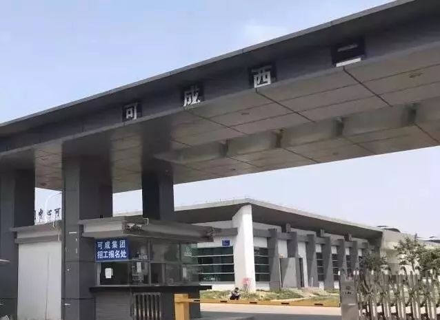 2019年未来什么工作最赚钱,2019年赚钱的项目