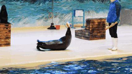 大朋友小朋友,六一去哪嗨?宜昌14家景区特惠福利来袭!