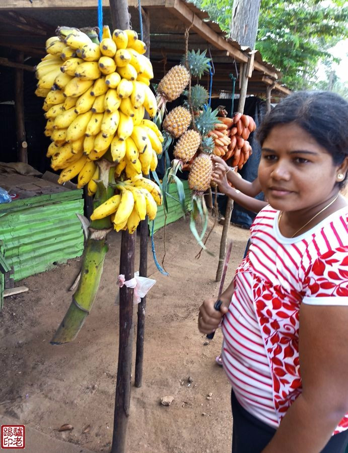 斯里兰卡农村真实生活视频,斯里兰卡华人真实生活视频