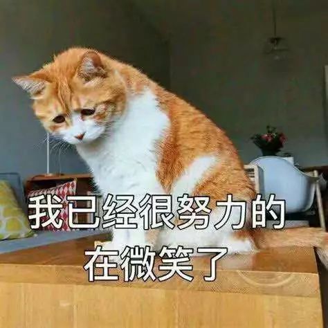 连上7天班,菏泽人集体放假!但这7个坏消息要虐哭你……