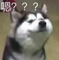 姑娘花400元租辆奔驰车参加聚会,却要面临近20万索赔