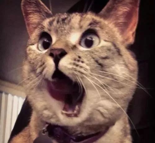 奥运冠军被外媒质疑,外媒嘲笑中国奥运