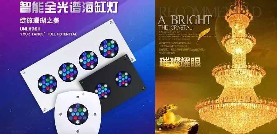 海缸基础知识大全,海缸知识大全图解