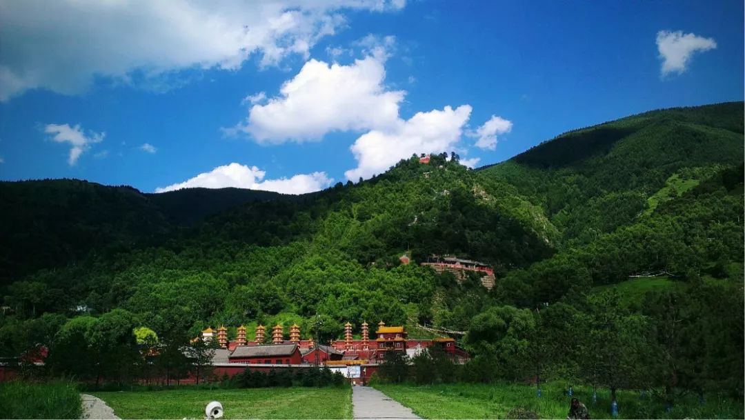 集五福沾福气什么都没沾到,集五福却没有抽福卡的机会怎么办