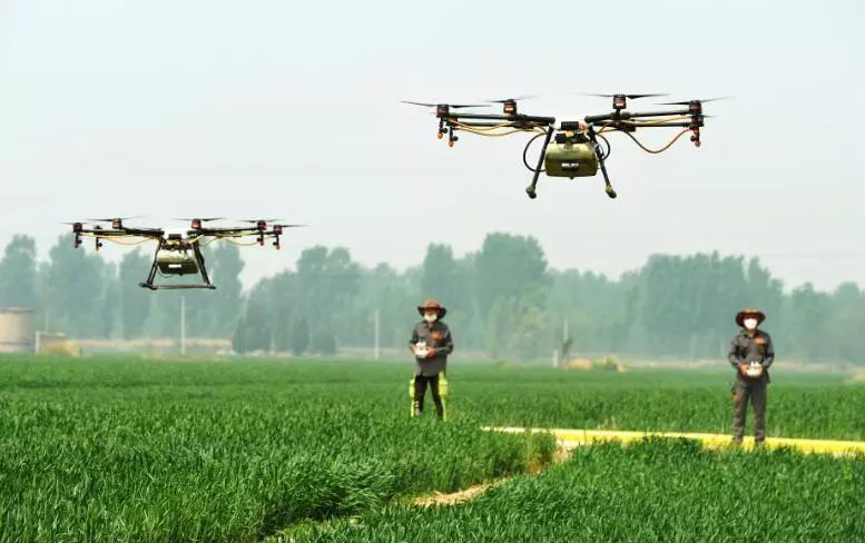 真正有前途的五大职业,未来这些职业一定是香饽饽