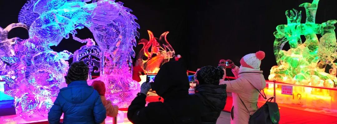 哈尔滨哪里冰雪项目免费,哈尔滨冰雪大世界免费政策