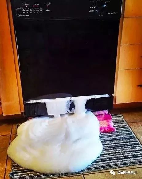 你家老公有多笨,你老公有多懒