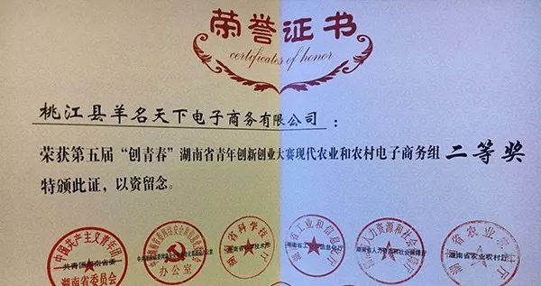 瀵瑰叏甯傚叡闈掑洟宸ヤ綔鎻愬嚭鎰忚寤鸿,鐩樼偣2019骞村叡闈掑洟宸ヤ綔