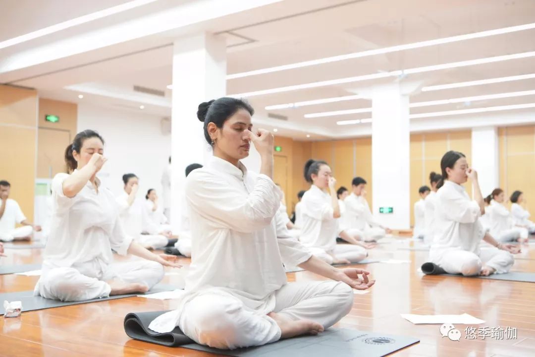 悠季瑜伽和亚协瑜伽哪个好,悠季瑜伽每日瑜伽哪个好