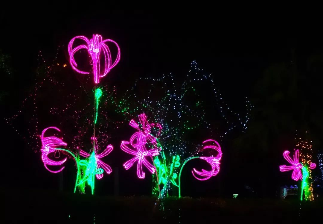 番禺夜景好玩的地方,广州增城网红打卡地夜景