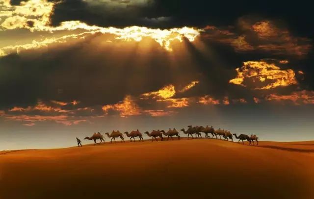 假照片有哪些骗局,那些假照片的背后