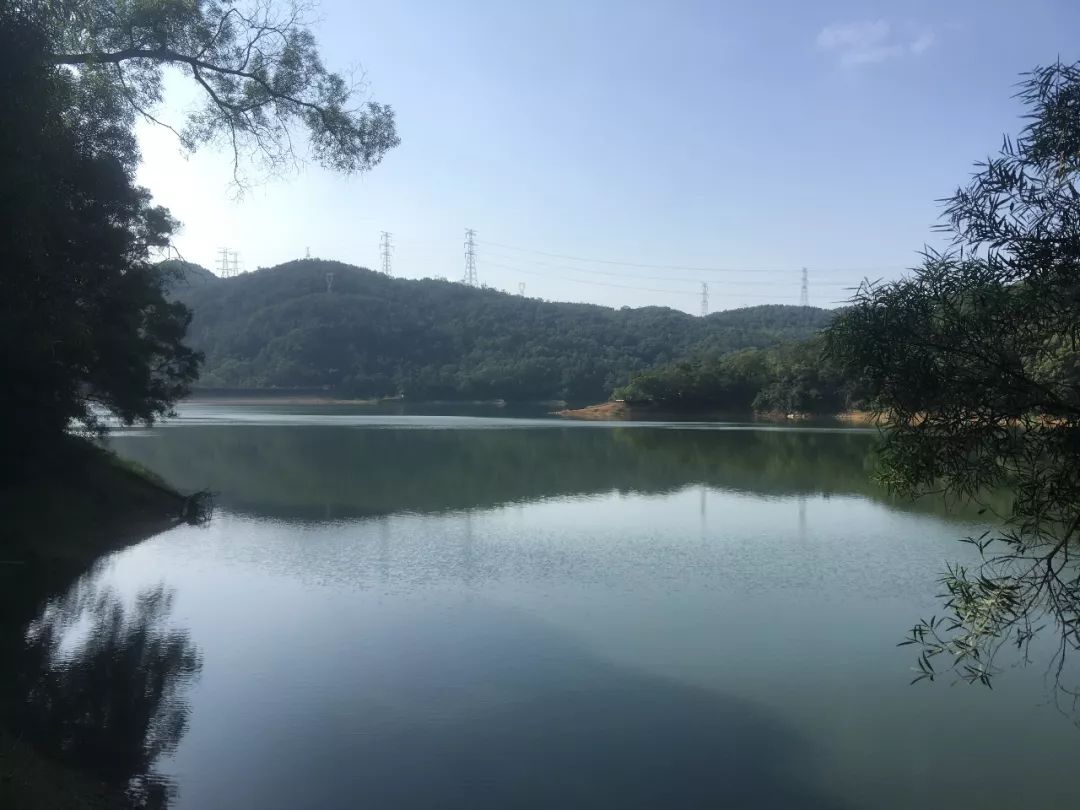 适合踏春的景点厦门,厦门春季旅游攻略