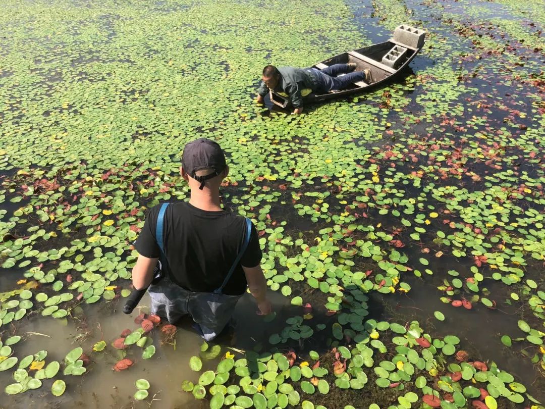 拍摄古村古镇视频,拍摄古镇生活视频