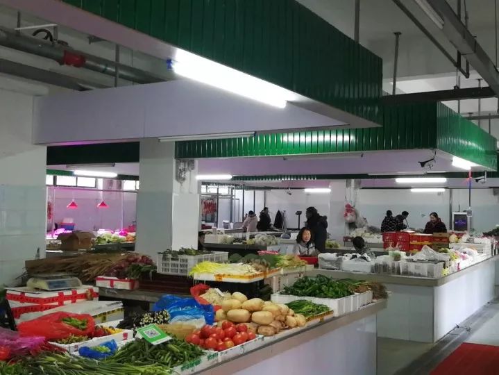 招商新春视频,招商引资新气象