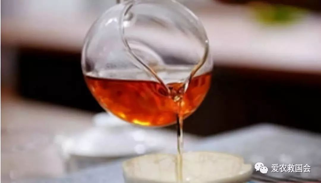 微生物跟酒有什么关系,哪种微生物参与黑茶