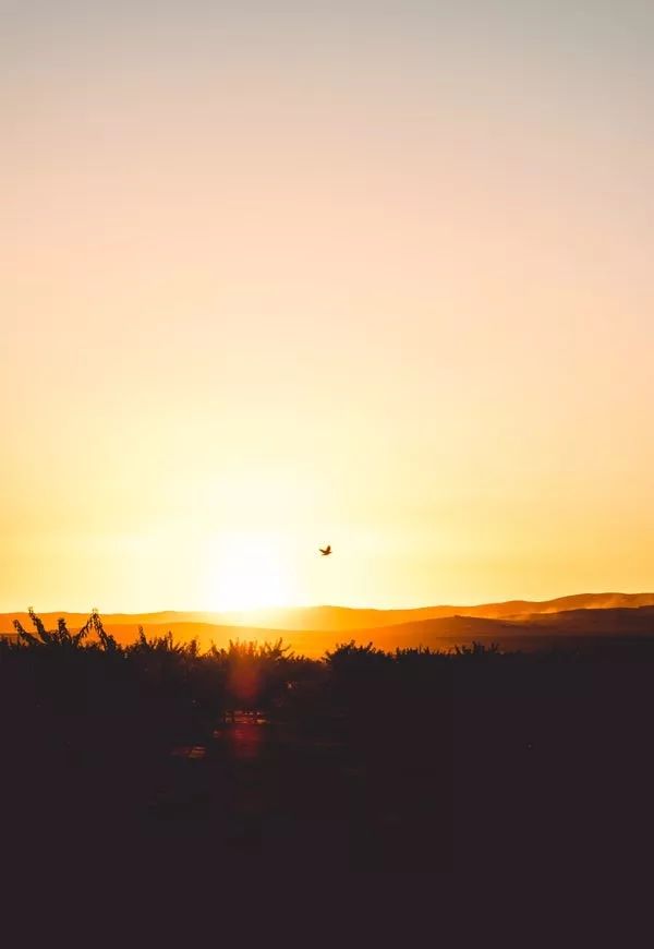 我见过最才华横溢的诗,关于才华横溢的诗句有哪些