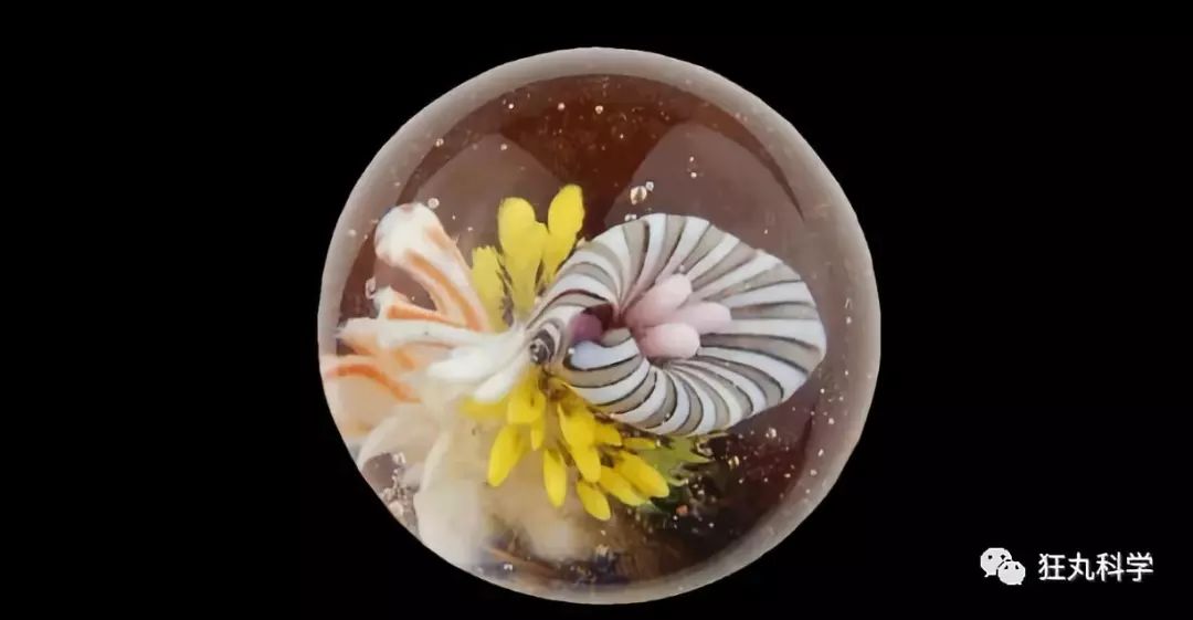 玻璃球里面的花纹是怎么回事,玻璃球中的花纹是如何印在里面的