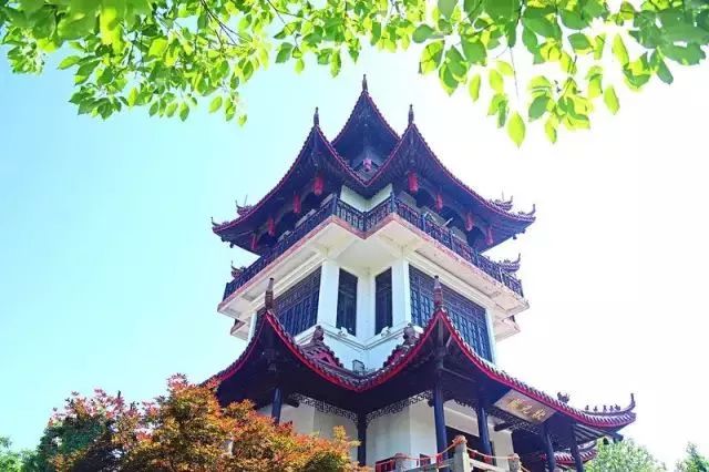 谢志成溧阳,我眼中的家乡纪实