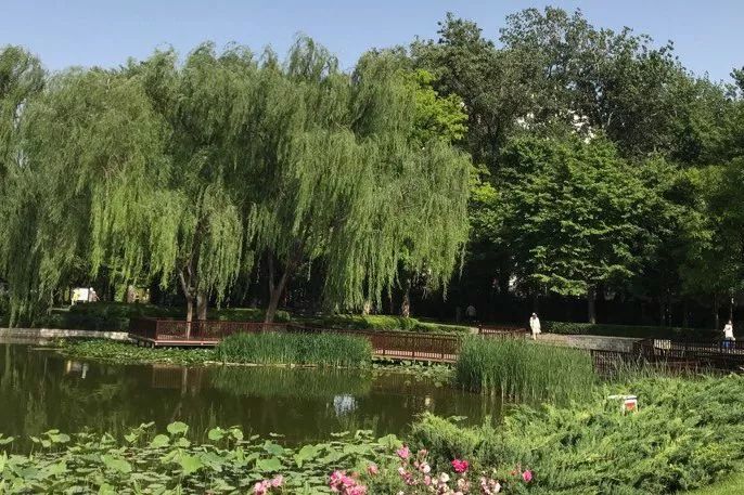 北京最良心的八大免费景点,北京60岁旅游免费景点