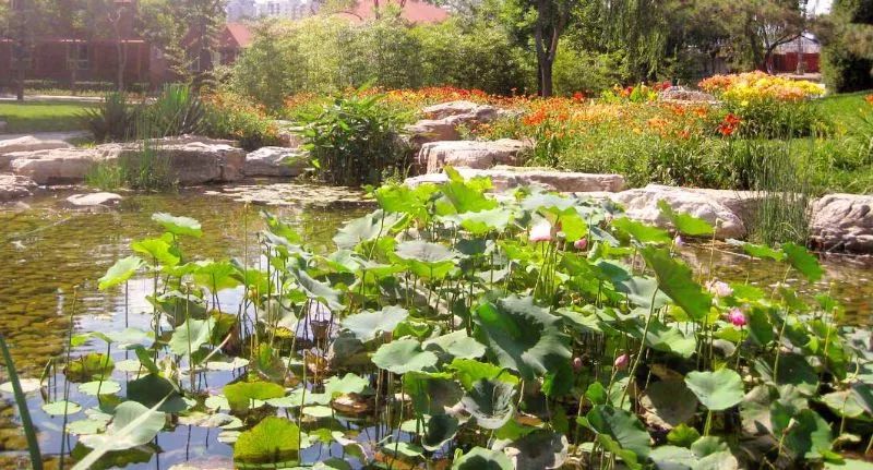 北京最良心的八大免费景点,北京60岁旅游免费景点