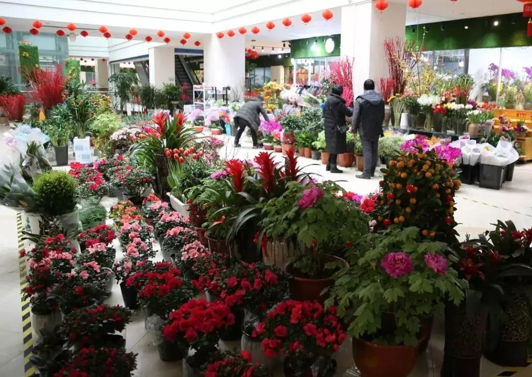 苏州比较有人气的综合体商场,苏州有个好大的商场叫啥