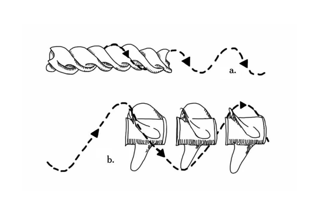 在托斯卡纳,托斯卡纳意面怎么做