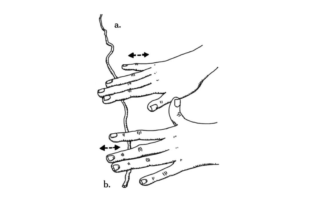 在托斯卡纳,托斯卡纳意面怎么做