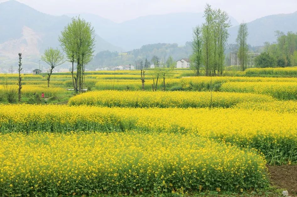 汉中5月玩的地方推荐,汉中四月好玩的地方推荐