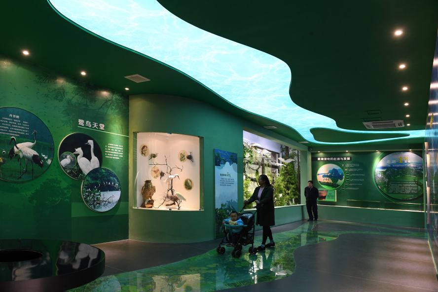 星湖国家湿地公园免费吗,广东星湖湿地风景