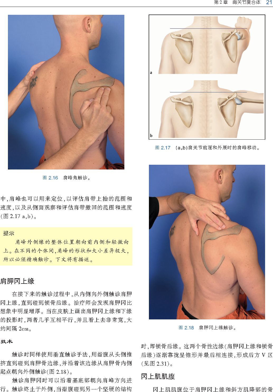 好书推荐|《触诊技术》---李哲人体科学团队---开年首发
