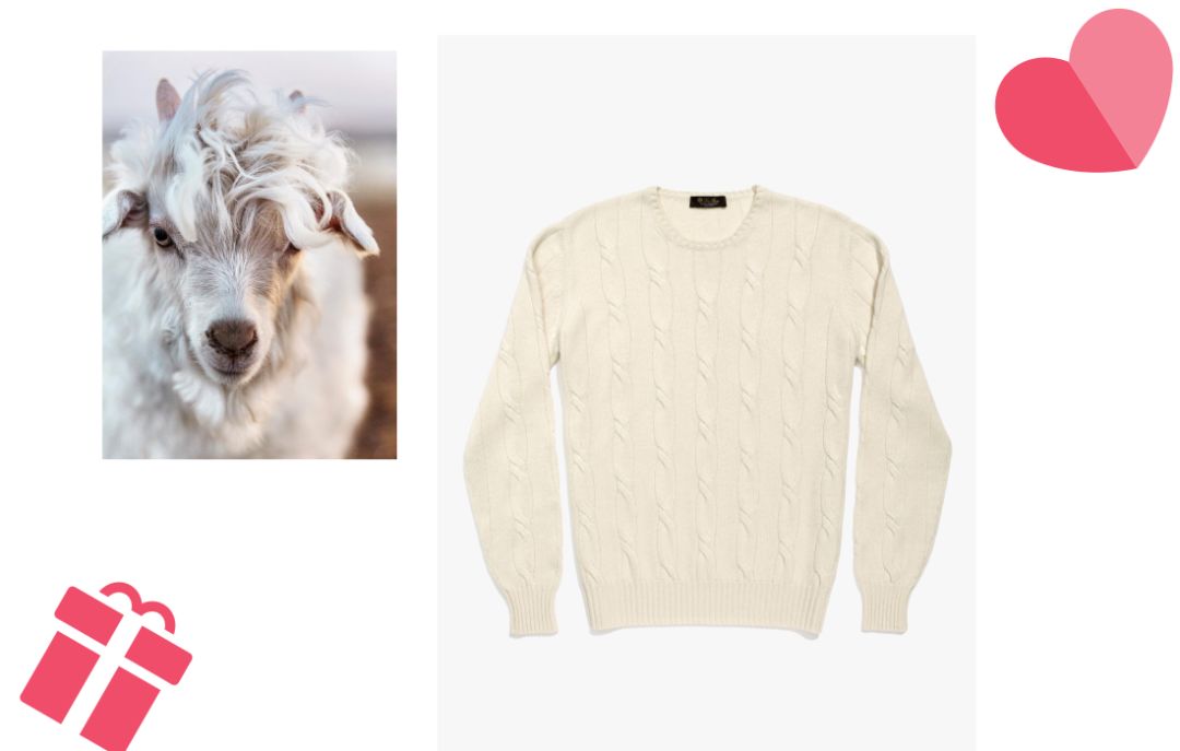 有些东西是可以男女共享的｜会玩