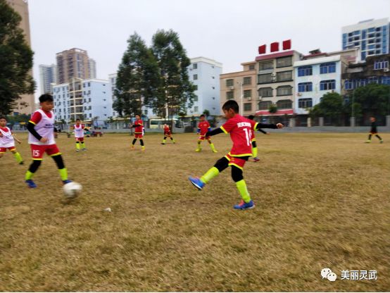 灵武成人足球队夺冠,宁夏灵武足球比赛