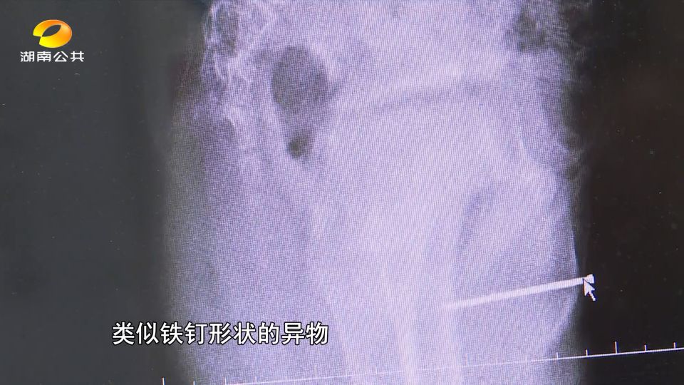 丁丁历险记一年级下册,丁丁历险记少年版