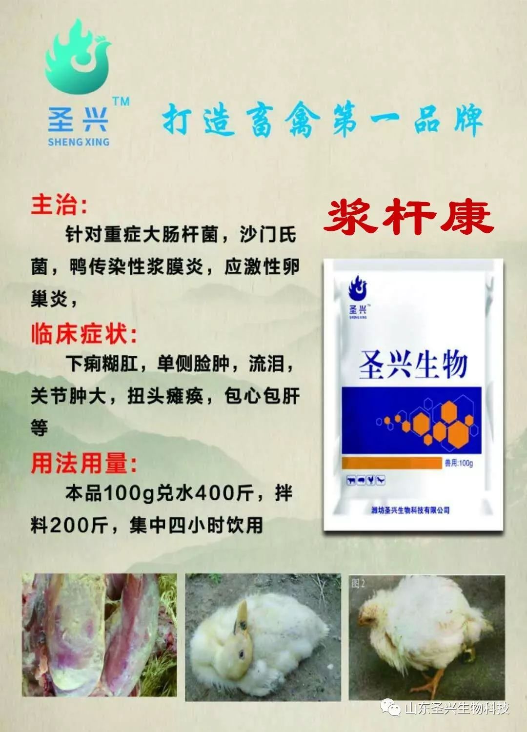 肉鸭亏损严重,养殖户是什么原因利润低