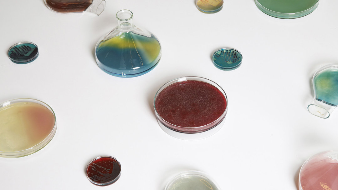 雷克萨斯联名款,雷克萨斯耐克