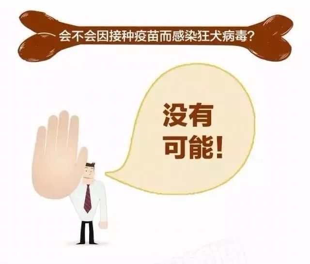 跟狗狗亲密接触会不会得病,狗狗互相玩耍会感染狂犬病吗