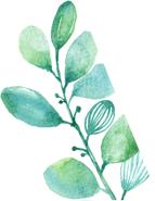 武清区运动会城关,武清区运动会开放时间