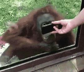 哭死“羊毛*党**”！邀万人“刷量”无法提现，起诉被驳回