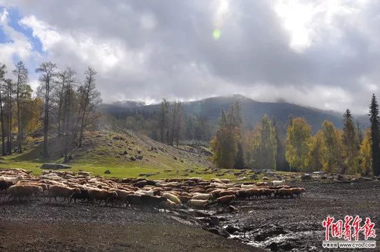 泪目凉山支教老师,支教老师离开感人视频哭成泪人