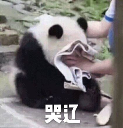 帮人代写作业,13岁女孩月入过万!却因这个原因,遭“举报”了……