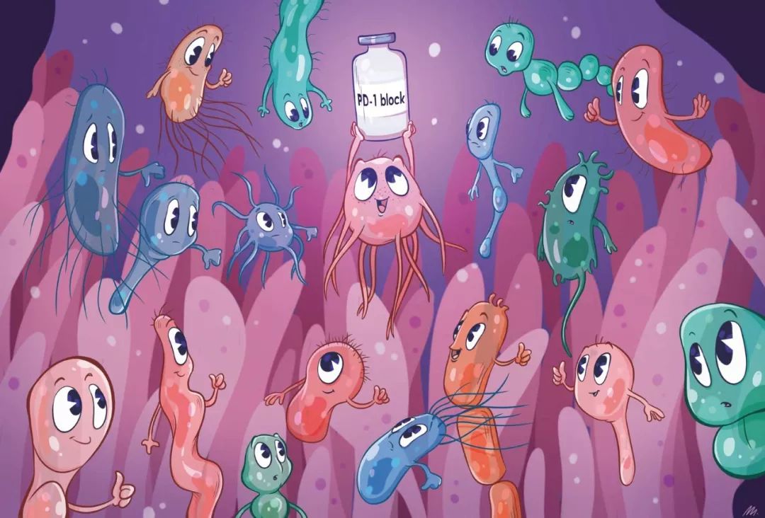 免疫治疗攻克癌症的希望,现实的灯塔