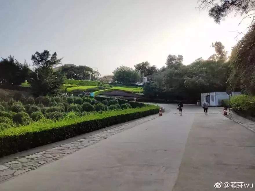 @所有人,2号线又有新进展!这条霸屏的网红线路,居然有这么多好玩的~