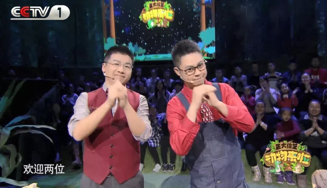 企鹅单身日记：我就是“吃饭睡觉打豆豆”里的豆豆