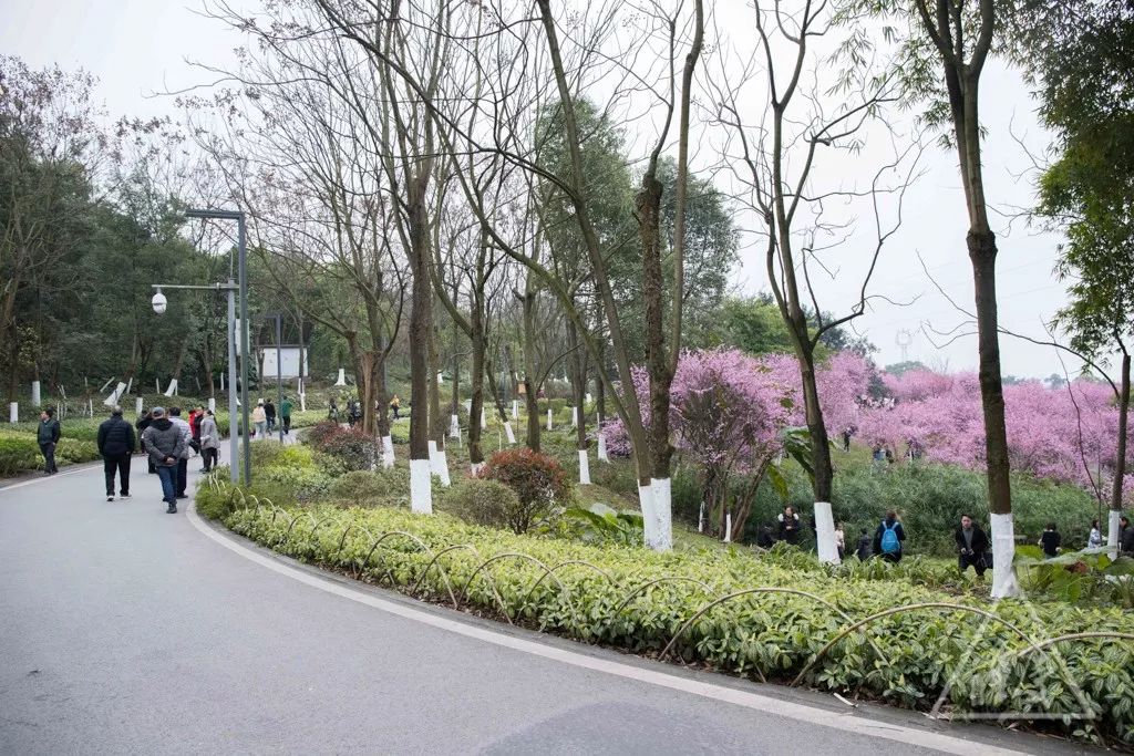 2019重庆优惠活动,重庆最新全图